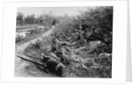 American Soldiers on Maneuvers During the Philippine Insurrection by Anonymous