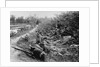 American Soldiers on Maneuvers During the Philippine Insurrection by Anonymous