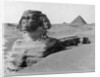The Great Sphinx in the Desert by Anonymous