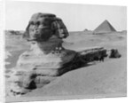 The Great Sphinx in the Desert by Anonymous