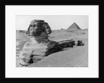 The Great Sphinx in the Desert by Anonymous
