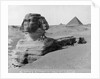 The Great Sphinx in the Desert by Anonymous