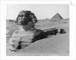 The Great Sphinx in the Desert by Anonymous
