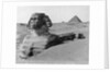 The Great Sphinx in the Desert by Anonymous