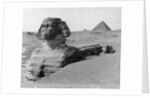 The Great Sphinx in the Desert by Anonymous