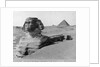 The Great Sphinx in the Desert by Anonymous