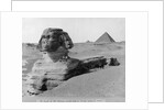The Great Sphinx in the Desert by Anonymous