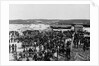 Rough Riders Returning from Spanish-American War by Anonymous