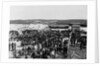 Rough Riders Returning from Spanish-American War by Anonymous