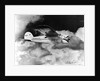 Winnie Mae of Oklahoma Mail Plane by Anonymous