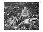 Government Buildings in Albany by Anonymous