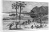 Stanley Crossing Swamp by Anonymous