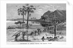 Stanley Crossing Swamp by Anonymous