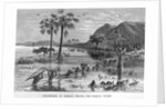 Stanley Crossing Swamp by Anonymous
