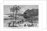 Stanley Crossing Swamp by Anonymous