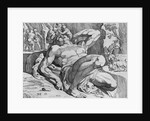 Ulysses Overcoming Polyphemus by Theodor van Thulden
