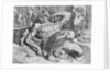Ulysses Overcoming Polyphemus by Theodor van Thulden