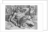 Ulysses Overcoming Polyphemus by Theodor van Thulden