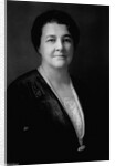 Congressional Representative Mary Teresa Norton by Anonymous