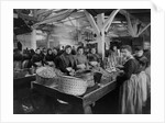 Women Canning Oysters by Anonymous