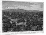 View of Part of the town of Pelew, and the Place of Council by W. & J. Walker