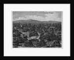 View of Part of the town of Pelew, and the Place of Council by W. & J. Walker