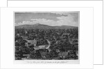 View of Part of the town of Pelew, and the Place of Council by W. & J. Walker