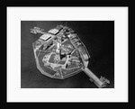 Aerial View of Statue of Liberty by Anonymous