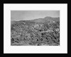 Mecca, Saudi Arabia by C. Hurgronje Snouck