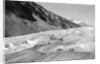 Horses Packing Silver Ore Across Glacier by Anonymous