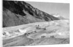 Horses Packing Silver Ore Across Glacier by Anonymous