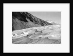 Horses Packing Silver Ore Across Glacier by Anonymous
