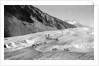 Horses Packing Silver Ore Across Glacier by Anonymous