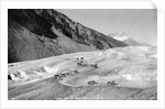 Horses Packing Silver Ore Across Glacier by Anonymous