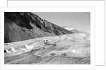Horses Packing Silver Ore Across Glacier by Anonymous