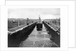 Ship in Gatun Lower Locks by Anonymous