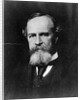 Philosopher William James by Anonymous