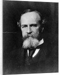 Philosopher William James by Anonymous
