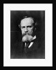 Philosopher William James by Anonymous