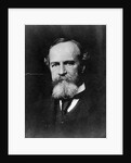 Philosopher William James by Anonymous
