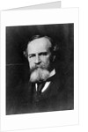 Philosopher William James by Anonymous