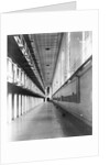 West Hall of Clinton Prison by Anonymous