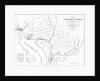 Sketch of Washington in embroy previous to its survey by Major L'Enfant