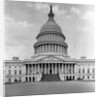 U. S. Capitol in Washington D. C. by Anonymous
