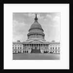 U. S. Capitol in Washington D. C. by Anonymous