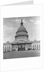 U. S. Capitol in Washington D. C. by Anonymous