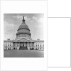 U. S. Capitol in Washington D. C. by Anonymous