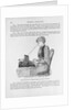 Nineteenth Century Book Illustration of a Woman at a Typewriter by Anonymous