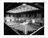 House Chambers in the U. S. Capitol by Anonymous