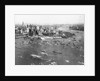 New York Celebration for Lindbergh by Anonymous